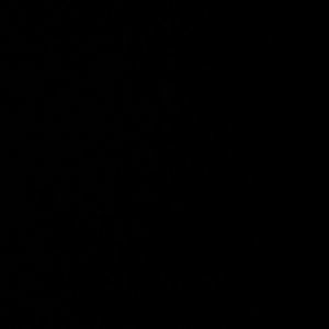 Meet your Posher, Rayden